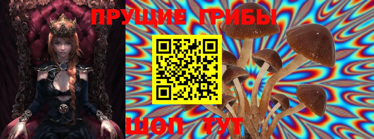 Стрежевой  Галлюциногенные грибы мицелий  Вход с VPN 